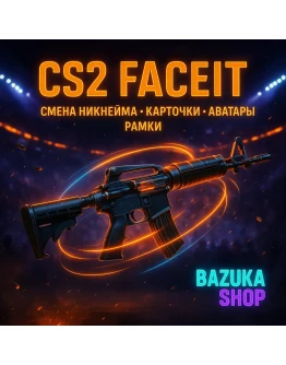 FACEIT КАРТОЧКИ РАМКИ АВА СМЕНА НИКНЕЙМА CS 2