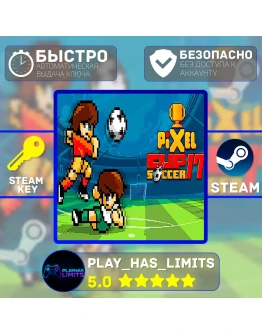 Pixel Cup Soccer 17 КЛЮЧ STEAM Global + РФ