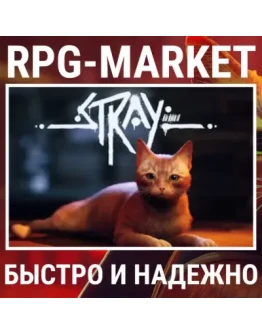 STRAY (STEAM/РФ+СНГ) КЛЮЧ СРАЗУ + ПОДАРОК