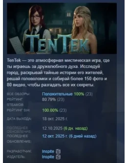 Ten Tek АВТОДОСТАВКА STEAM РОССИЯ