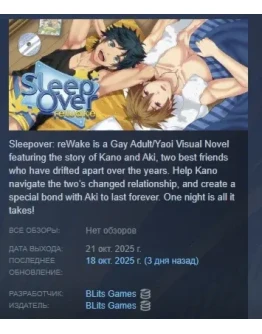 Sleepover: reWake АВТОДОСТАВКА STEAM РОССИЯ