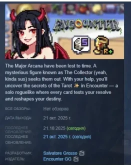 Encounter: The Lost Cards АВТОДОСТАВКА STEAM РОССИЯ