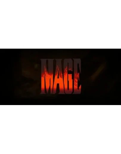 VEX MAGE АВТОДОСТАВКА STEAM РОССИЯ