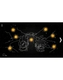 Hidden Shapes - Cat Realm (Steam key / РФ+Весь Мир)