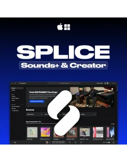 SPLICE 1-3 МЕСЯЦА, Продление Sounds+ &amp Creator