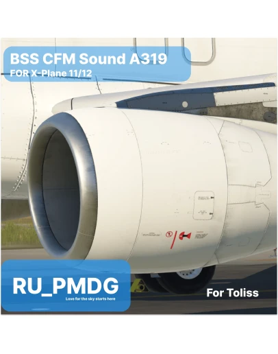 BSS A319 CFM PRO for X-Plane 11/12
