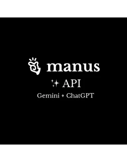 Manus API ключ доступ к Gemini API и ChatGPT API