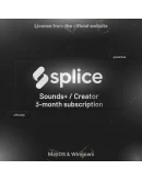Splice Creator / Sounds+ подписка на 3 месяца