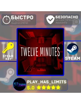 Twelve Minutes КЛЮЧ STEAM Global + РФ