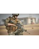 Squad Weapon Skins - Second Tour Pack DLC - STEAM RU