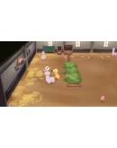 STORY OF SEASONS: Grand Bazaar Trunk of Transformation