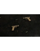 Insurgency: Sandstorm - Wheat Weapon Skin Set DLC