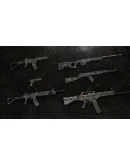 Insurgency: Sandstorm - Dragon Weapon Skin Set DLC