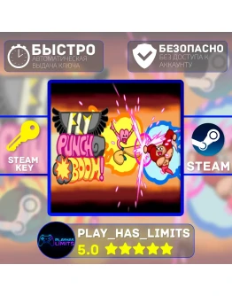 Fly Punch Boom! КЛЮЧ STEAM Global + РФ