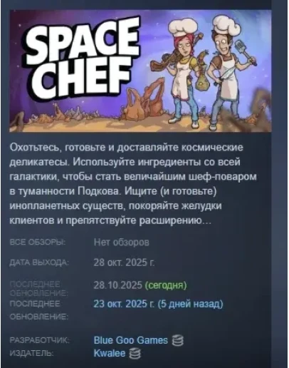 Space Chef АВТОДОСТАВКА STEAM РОССИЯ