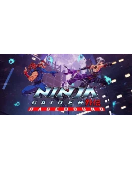NINJA GAIDEN: Ragebound - STEAM GIFT РОССИЯ