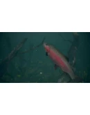 Ultimate Fishing Simulator 2 - STEAM GIFT РОССИЯ