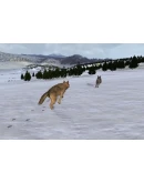WolfQuest - STEAM GIFT РОССИЯ