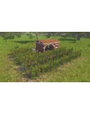 Pompeii: The Legacy - STEAM GIFT РОССИЯ