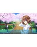 D.C. Re:tuneSTEAM GIFT AUTORU+МИР