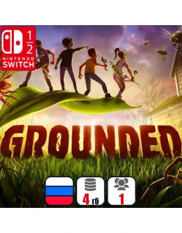 Grounded Nintendo Switch