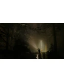 ALAN WAKE 2 XBOX SERIES XSКЛЮЧ USA ЛИЦЕНЗИЯ