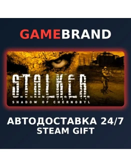 STALKER: Shadow of Chernobyl STEAM GIFT