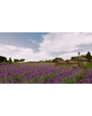 Railway Empire - France DLC * STEAM RU*KZ*UA*СНГ