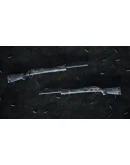 Insurgency: Sandstorm - Night Raven Weapon Skin Set DLC