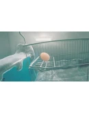 Egging On * STEAM RU*KZ*UA*СНГ