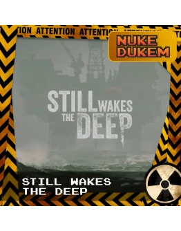 РФ+СНГ Still Wakes the Deep STEAM КЛЮЧ