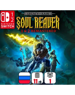 Legacy of Kain Soul Reaver 1&amp2 Remastered Nintendo
