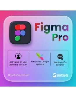 Figma Professional Образовательный план, 06 месяцев н