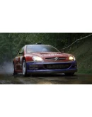 Assetto Corsa Rally Steam АВТОДОСТАВКА RU/BY/KZ/UA