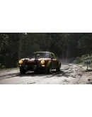 Assetto Corsa Rally * STEAM RU*KZ*UA*СНГАВТОДОСТАВКА