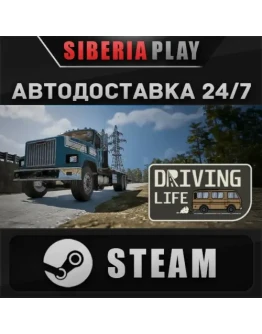 Driving Life STEAM АВТОДОСТАВКА RU/KZ/UA/СНГbr /