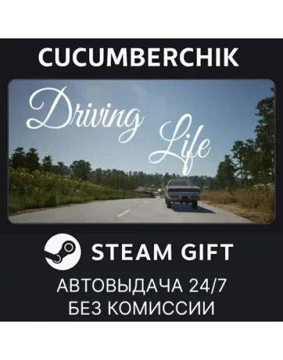 Driving LifeSTEAM GIFT AUTORU+МИР