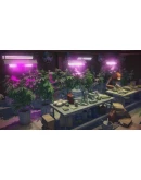 SCHEDULE I: DOPE EMPIRE XBOX + PC (WIN) КЛЮЧ/КОД