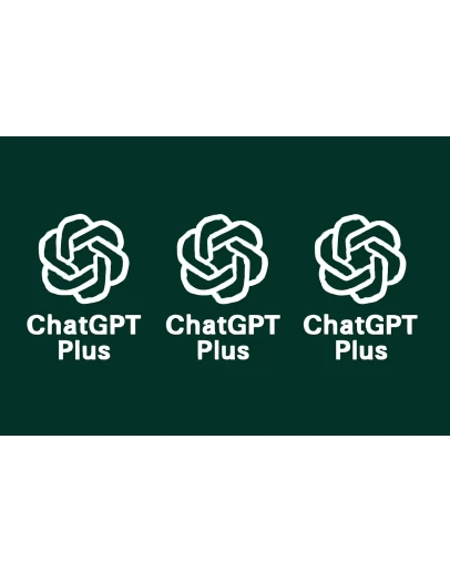 Account Private Chatgpt PLUS 5 Profile not shared