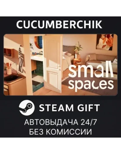 Small SpacesSTEAM GIFT AUTORU+МИР