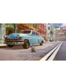 LITTLE STRAYS - HAVANA XBOX КЛЮЧ/КОД