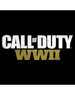 Call of Duty WWII (PS4)