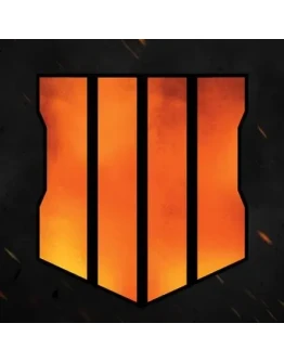 Call of Duty Black Ops 4 (PS4)