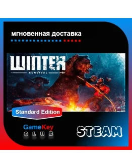 Winter Survival + Игры Steam Оффлайн Region Free