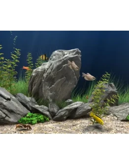 Лучший скринсейвер из серии аквариумов 2009 + БОНУС