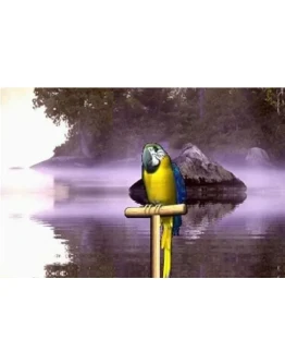 Говорящий попугай + БОНУС Говорящий попугай + БОНУС