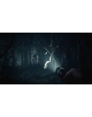 Blair Witch Выбор Региона Стим STEAM GIFT АВТО 24/7 ГАРАНТИЯ