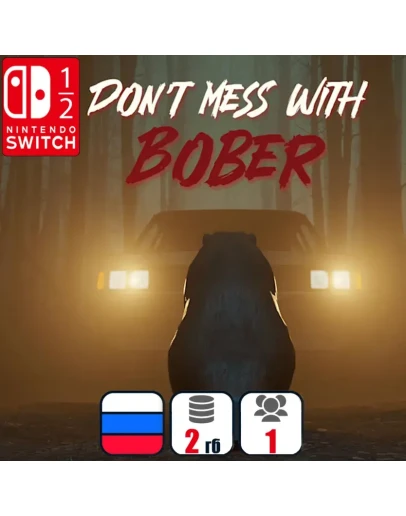 Don't Mess With Bober Nintendo Switch 1/2