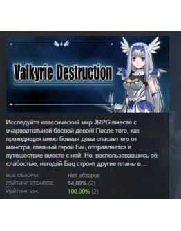 Valkyrie Destruction АВТОДОСТАВКА STEAM РОССИЯ