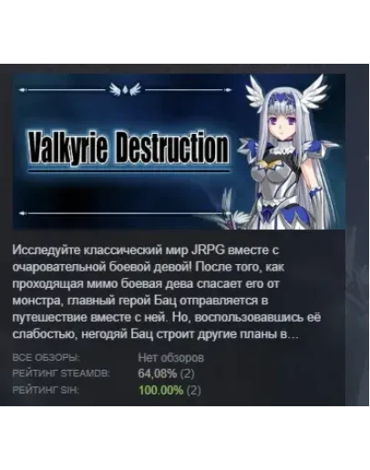 Valkyrie Destruction АВТОДОСТАВКА STEAM РОССИЯ